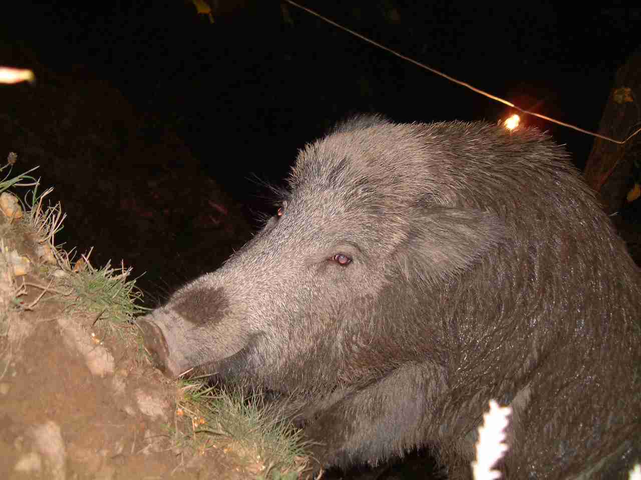  Image name: DSCF0041.JPG 
 width: 1280 pixel 
 height: 960 pixel 
 Size: 68109 bytes 
 Click to enlarge 